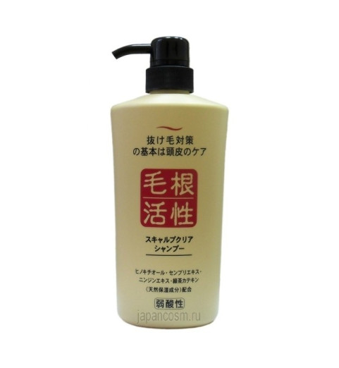 Junlove Scalp Clear Shampoo / Шампунь для укрепления и роста волос, 550 мл